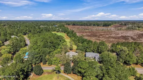 View/Area - 311 Red Fox Run Dr, Wallace, NC 28466 photo 10 of 18