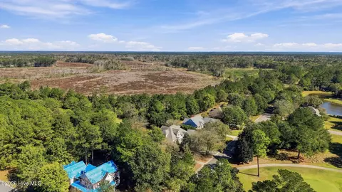 View/Area - 311 Red Fox Run Dr, Wallace, NC 28466 photo 5 of 18