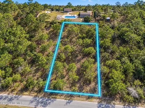 0 Catawba Rd, Boiling Spring Lakes, NC 28461 photo 1