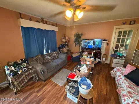 205 Rollins Ave, Hamlet, NC 28345 photo 3