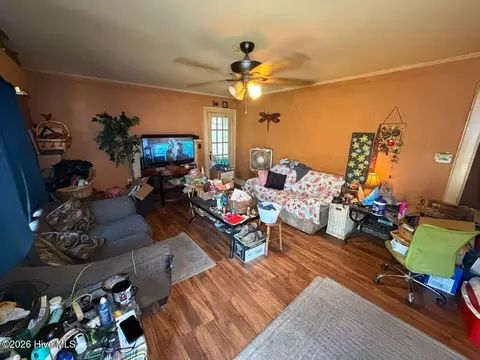 205 Rollins Ave, Hamlet, NC 28345 photo 2