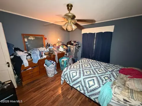 205 Rollins Ave, Hamlet, NC 28345 photo 33