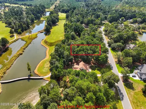 123 October Glory Dr, Wallace, NC 28466 photo 8