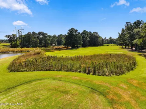 123 October Glory Dr, Wallace, NC 28466 photo 16