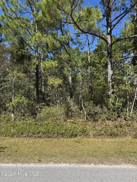271 Charlestown Rd, Boiling Spring Lakes, NC 28461