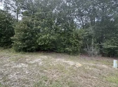 lot19 Ida Mill Rd, Laurel Hill, NC 28351