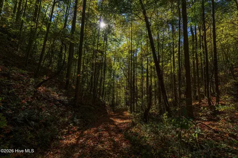306 N Dinkins Creek Road Rd, Murphy, NC 28906 photo 6