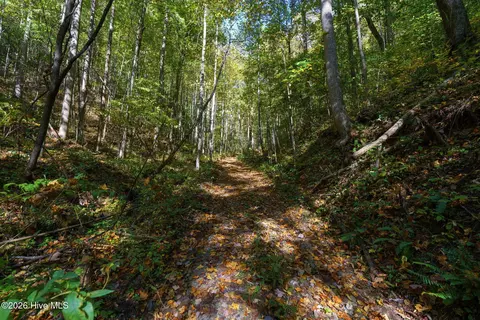 306 N Dinkins Creek Road Rd, Murphy, NC 28906 photo 9