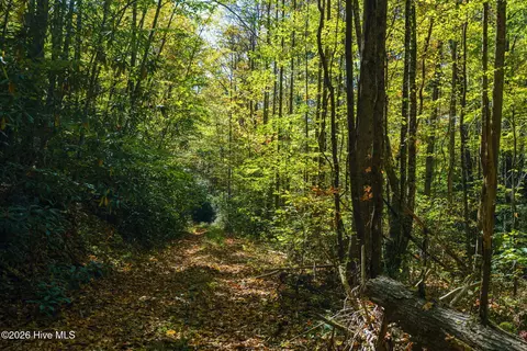 306 N Dinkins Creek Road Rd, Murphy, NC 28906 photo 7