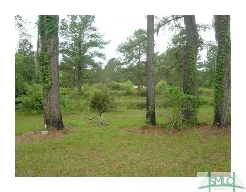 345 Robert Hill Rd, Midway, GA 31320 photo 11