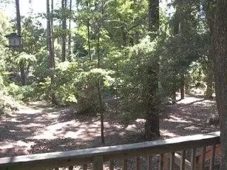 137 Oakleaf, Pine Knoll Shores, NC 28512 photo 1