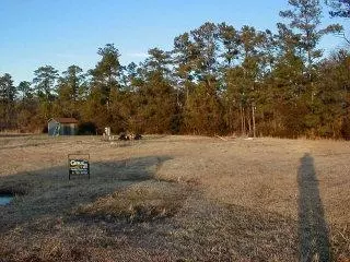 433 Sand Dollar, Gloucester, NC 28528 photo 1