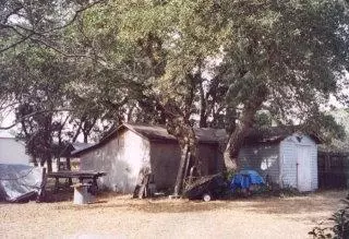 176 Hammock, Atlantic, NC 28511 photo 3