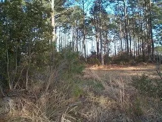 420 Stacy Loop, Stacy, NC 28581 photo 1