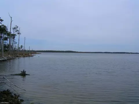 175 Alligood, Davis, NC 28524 photo 3