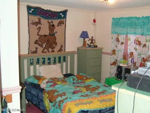 655 Jumpin Run Rd, Hubert, NC 28539 photo 6