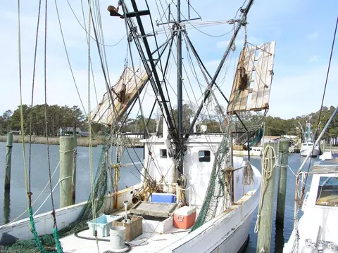 435 Shell Rd, Atlantic, NC 28511 photo 5