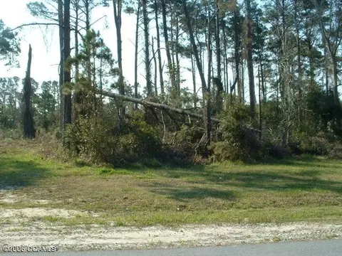 307 Quiet Cv, Gloucester, NC 28528 photo 1