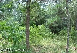 113 Red Drum Ln, Gloucester, NC 28528 photo 1