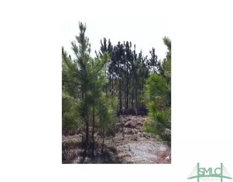 103 Riley Ct, Springfield, GA 31329 photo 1