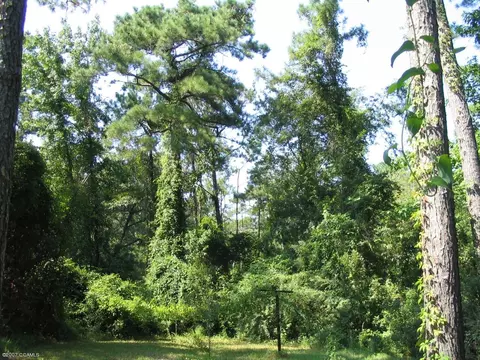 125 Stacy Loop Rd, Stacy, NC 28581 photo 3