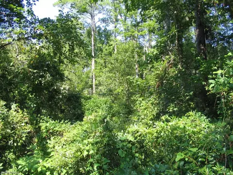 125 Stacy Loop Rd, Stacy, NC 28581 photo 2