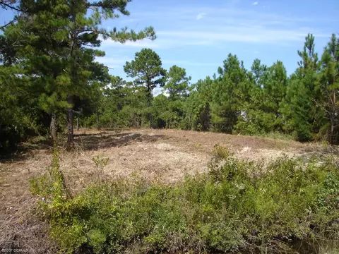 669 Straits Rd, Gloucester, NC 28528 photo 2