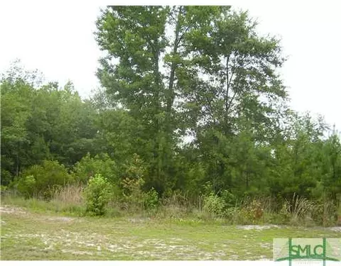 326 Labrador Ln, Guyton, GA 31312 photo 1