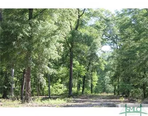 102 Treutlen Ct, Rincon, GA 31326 photo 10