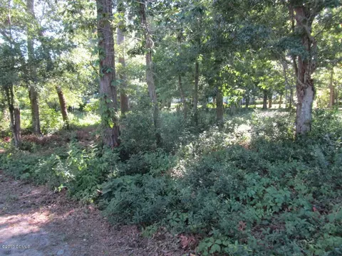 111 Deerfield Ct, Cedar Point, NC 28584 photo 5