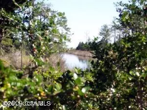 Undisclosed, Williston, NC 28589 photo 2