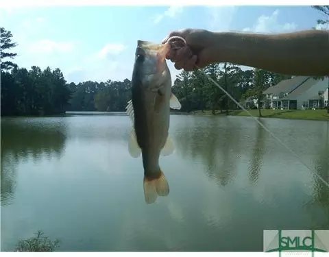 202 Opus Ct, Pooler, GA 31322 photo 20