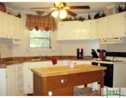 259 Springhill Rd, Springfield, GA 31329 photo 15