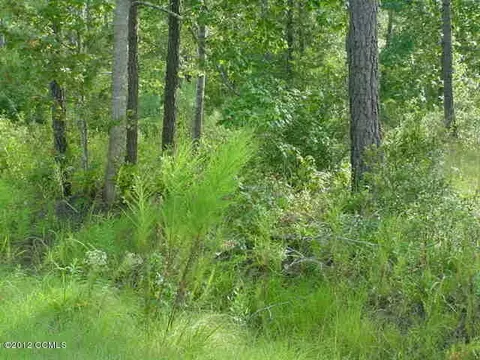 Undisclosed, Hubert, NC 28539 photo 2
