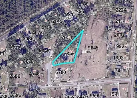 202 Thompson Field Cir, Gloucester, NC 28528 photo 21