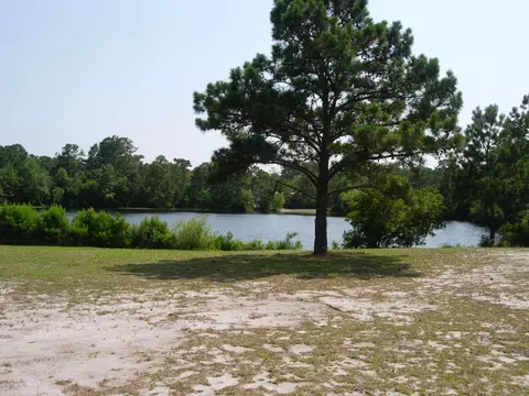 231 Shell Rd, Atlantic, NC 28511 photo 31