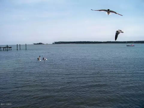 153 Blue Heron Ln #., Gloucester, NC 28528 photo 8