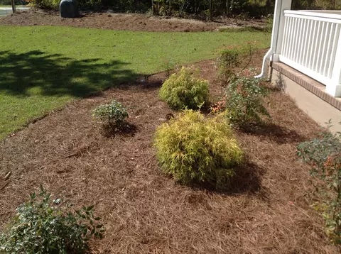 267 White Oak Bluff Rd, Stella, NC 28582 photo 29