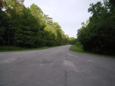 335 Red Oak Dr, Stella, NC 28582 photo 6