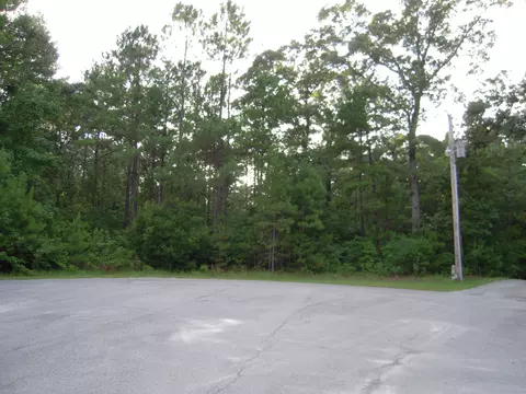335 Red Oak Dr, Stella, NC 28582 photo 1