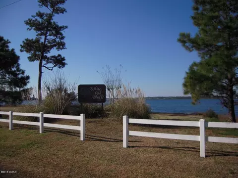 335 Red Oak Dr, Stella, NC 28582 photo 2