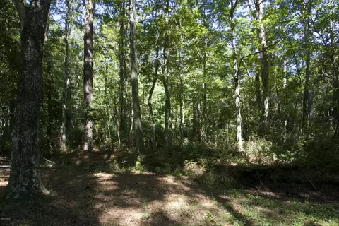 310 Wayland Ct, Gloucester, NC 28528 photo 4