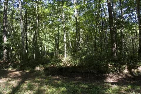 310 Wayland Ct, Gloucester, NC 28528 photo 2