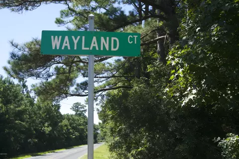 310 Wayland Ct, Gloucester, NC 28528 photo 7
