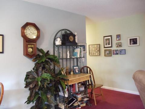 323 Riggs Rd, Hubert, NC 28539 photo 19