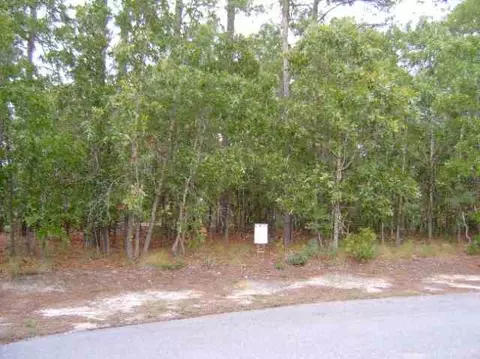 10 Stirrup Pl, Pinehurst, NC 28374 photo 1