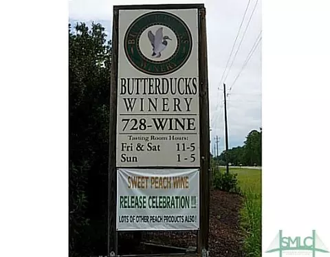 102 Old Mill Rd, Guyton, GA 31312 photo 23