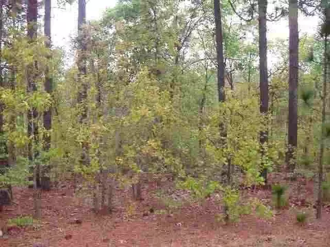 102 Sakonnet Trl, Pinehurst, NC 28374 photo 3