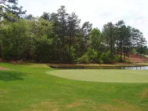 102 Sakonnet Trl, Pinehurst, NC 28374 photo 6