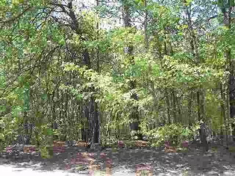 tbd Danville Ln, Pinehurst, NC 28374 photo 2